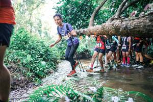 BIB: 
                            <button type="button" onclick="openModal(25466355)" class="btn btn-primary btn-sm float-right btn-popup" data-toggle="modal" data-target=".modal-high-quality">
                        <i class="fas fa-shopping-cart"></i> Add to Cart
                    </button>
                                            <button type="button" onclick="isThisMe(25466355, true)" class="btn btn-success btn-sm float-right btn-popup btn-isme hidden" data-toggle="tooltip" data-placement="bottom" title="นี่คือรูปของคุณใช่ไหม คลิกที่นี่เพื่อเอาเข้าอัลบั้ม">
                        <i class="fas fa-plus"></i> Add to album
                    </button>
                    <button type="button" onclick="isThisMe(25466355, false)" class="btn btn-warning btn-sm float-right btn-popup btn-isnotme hidden">
                        <i class="fas fa-ban"></i> Remove from album
                    </button>